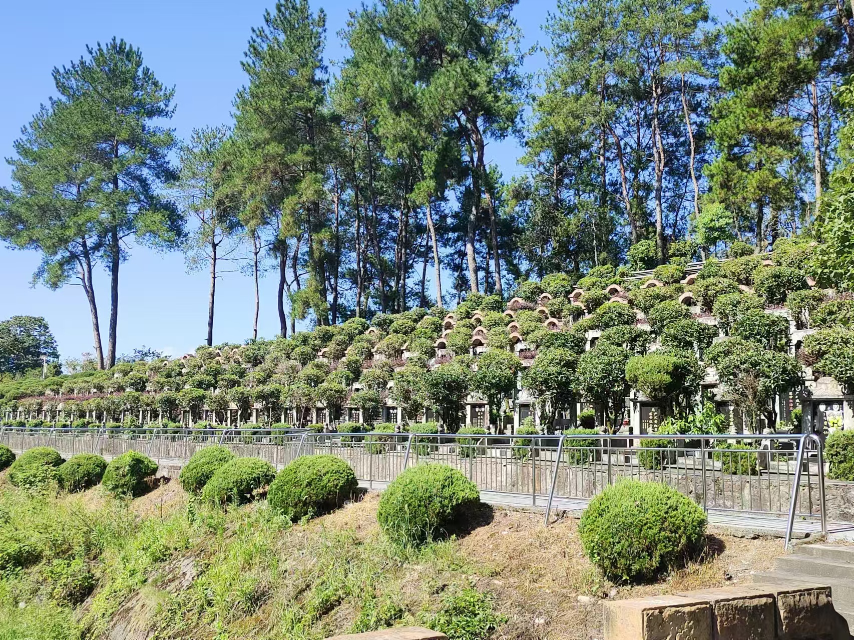 <strong>暑期“三下乡”社会实践（十二）：历史的记忆，红色的丰碑</strong>