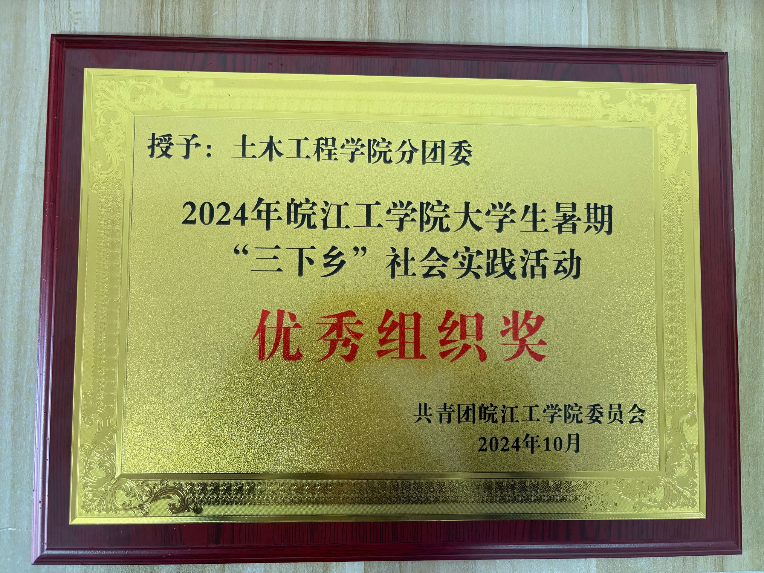 <strong>土木工程学院分团委荣获2024年皖江工学院大学生暑期“三下乡”优秀组织奖</strong>