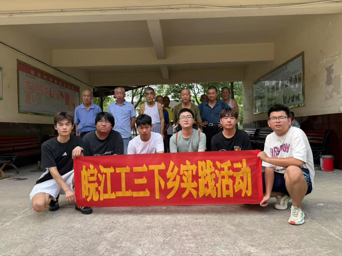 <strong>暑期“三下乡”社会实践（十七）：青春建功新时代，实践服务暖舒城</strong>