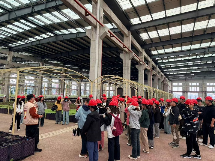 <strong>管理学院工程造价专业开展认识实习活动​</strong>